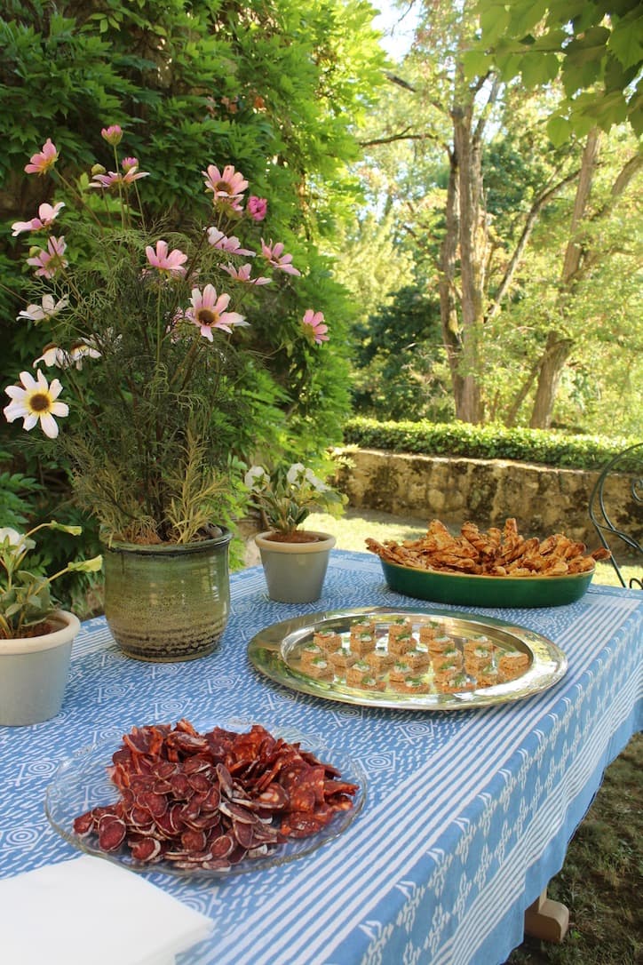 A garden table with a blue patterned cloth, featuring a platter of cured meats, small canapés, and crispy pastries, surrounded by potted plants and flowers.